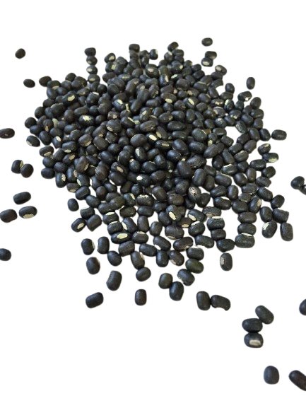 Black Urad
