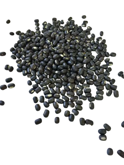 Black Urad