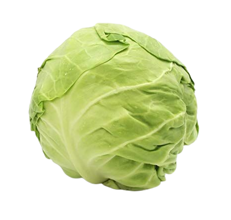 Cabbage
