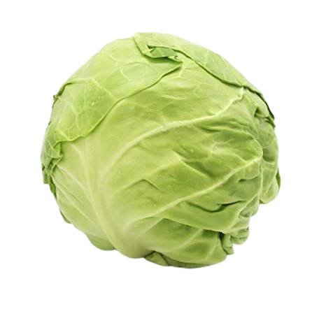 Cabbage