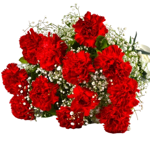 Carnation Bouquet