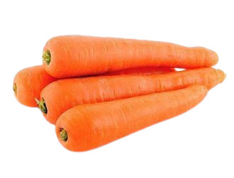 Carrot