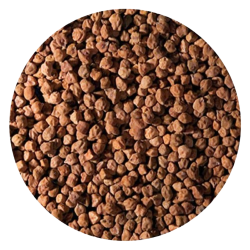 Channa Dhal Black