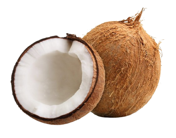 Coconut