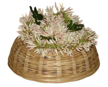 colour pitchi (tied folwer)