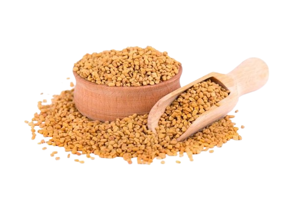 Fenugreek