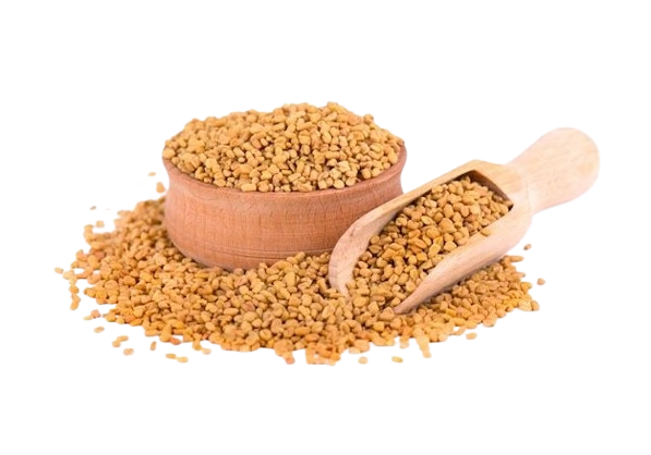 Fenugreek