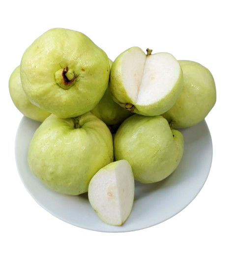 Guava