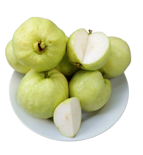 Guava