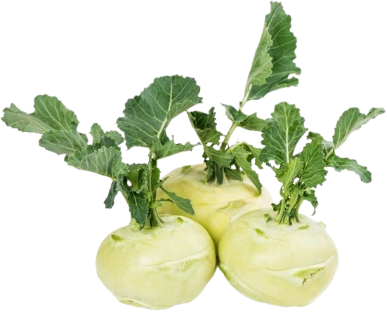 Kohlrabi