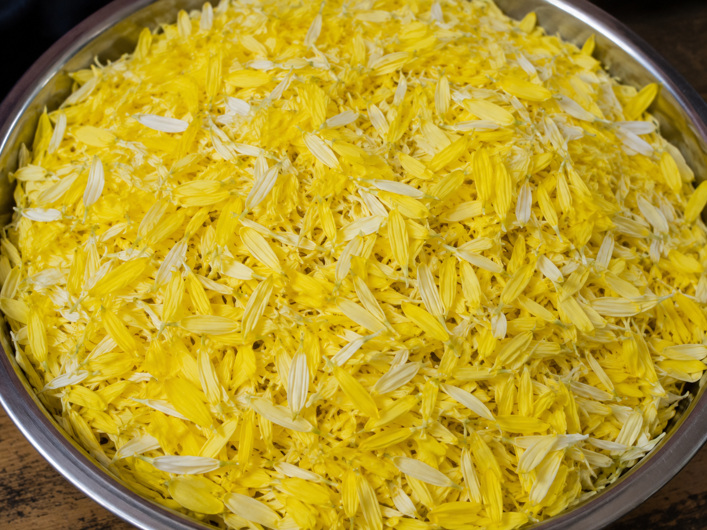 Marigold Petals