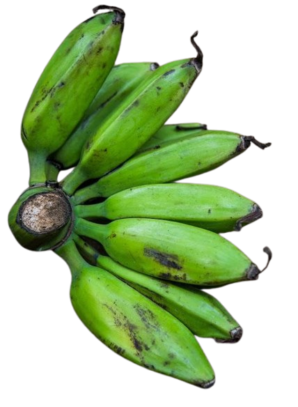 Plantain