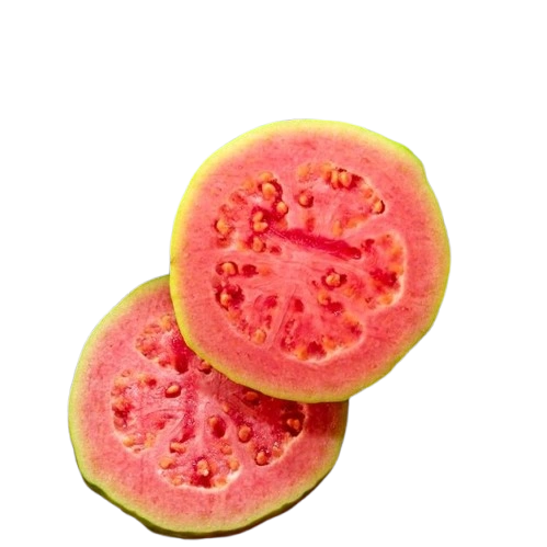 Red Guava