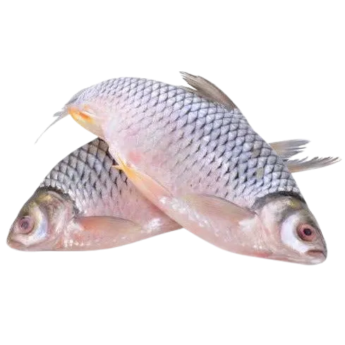 Seer Fish