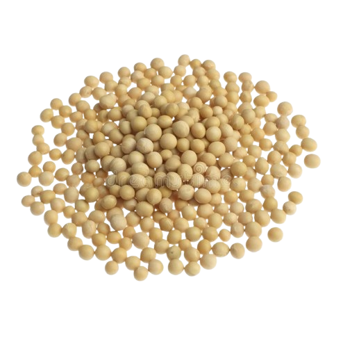 Soya Beans