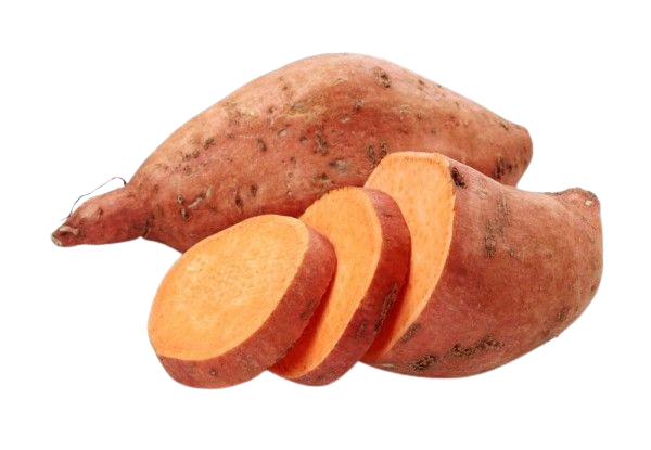 Sweet Potato