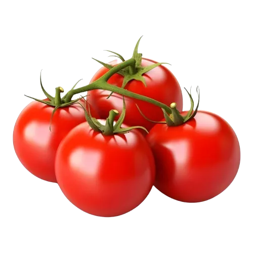 Tomato